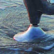 Image F014