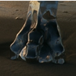 Image F024c