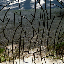 Image G01